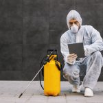 Deratizare pentru locuințe și firme: reguli, pași și beneficii