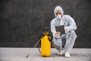Deratizare pentru locuințe și firme: reguli, pași și beneficii