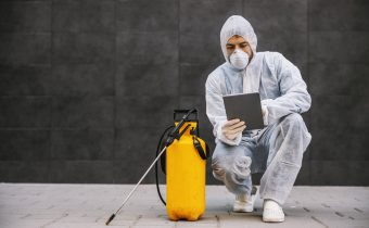 Deratizare pentru locuințe și firme: reguli, pași și beneficii