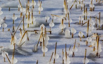 Condițiile meteo care duc la apariția lapoviței