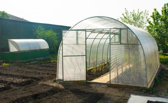 Cum alegi policarbonatul pentru o seră în funcție de culturile cultivate