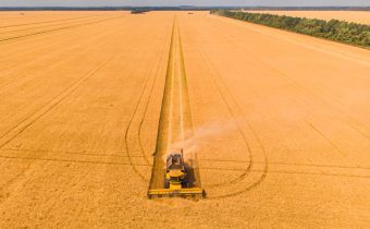 Cum se organizează transportul cerealelor direct din câmp